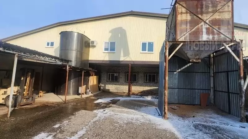 23019